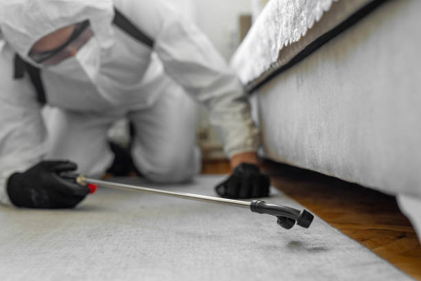 Professional Termite Control technician working in Mount Gilead, OH
