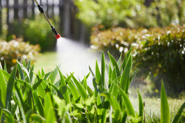 24/7 Emergency Termite Control experts in Mount Gilead, OH