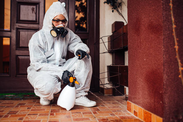 Reliable Termite Control contractor in Mount Gilead, OH by Nex Pest Control