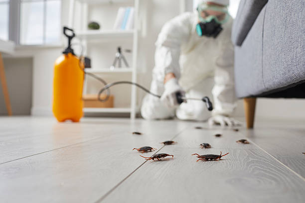 Trusted Termite Control service in Mount Gilead, OH - Nex Pest Control